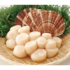 Scallop
