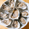 Oyster
