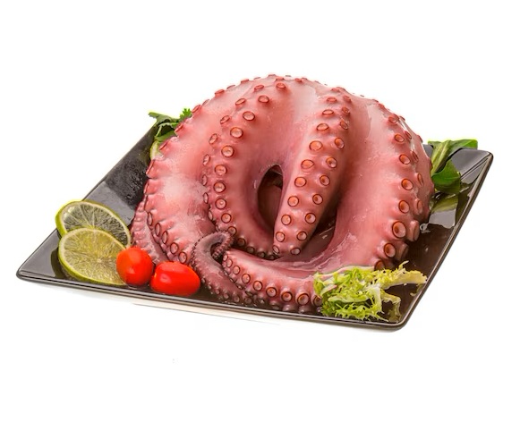 BOILED OCTOPUS