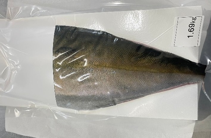 FROZEN YELLOWTAIL FILLETS