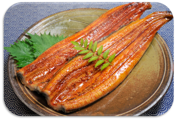 UNAGI KABAYAKI
