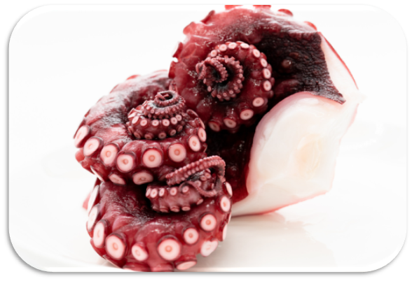 BOILED OCTOPUS