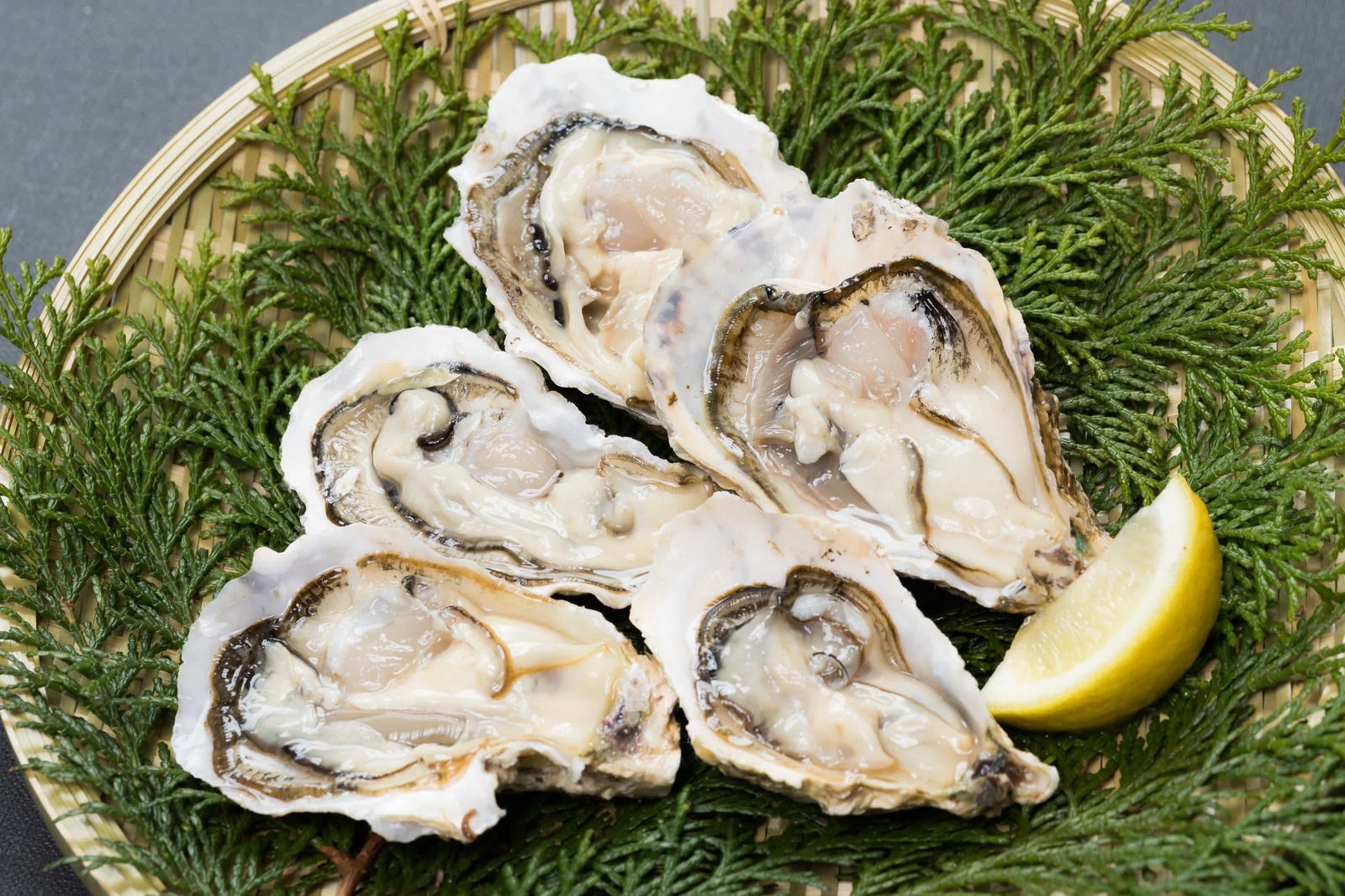 FROZEN OYSTER WITH FULL SHELL