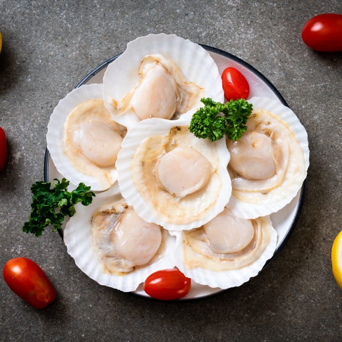 FROZEN SCALLOP WITH HALF SHELL