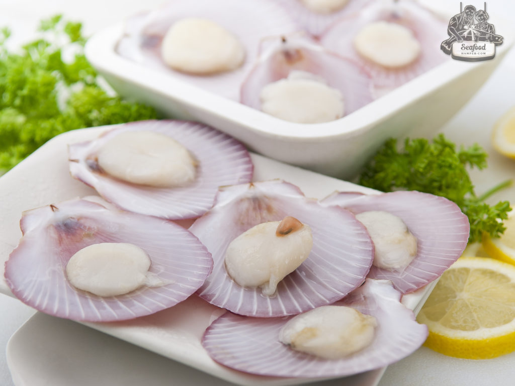 FROZEN SCALLOP WITH HALF SHELL