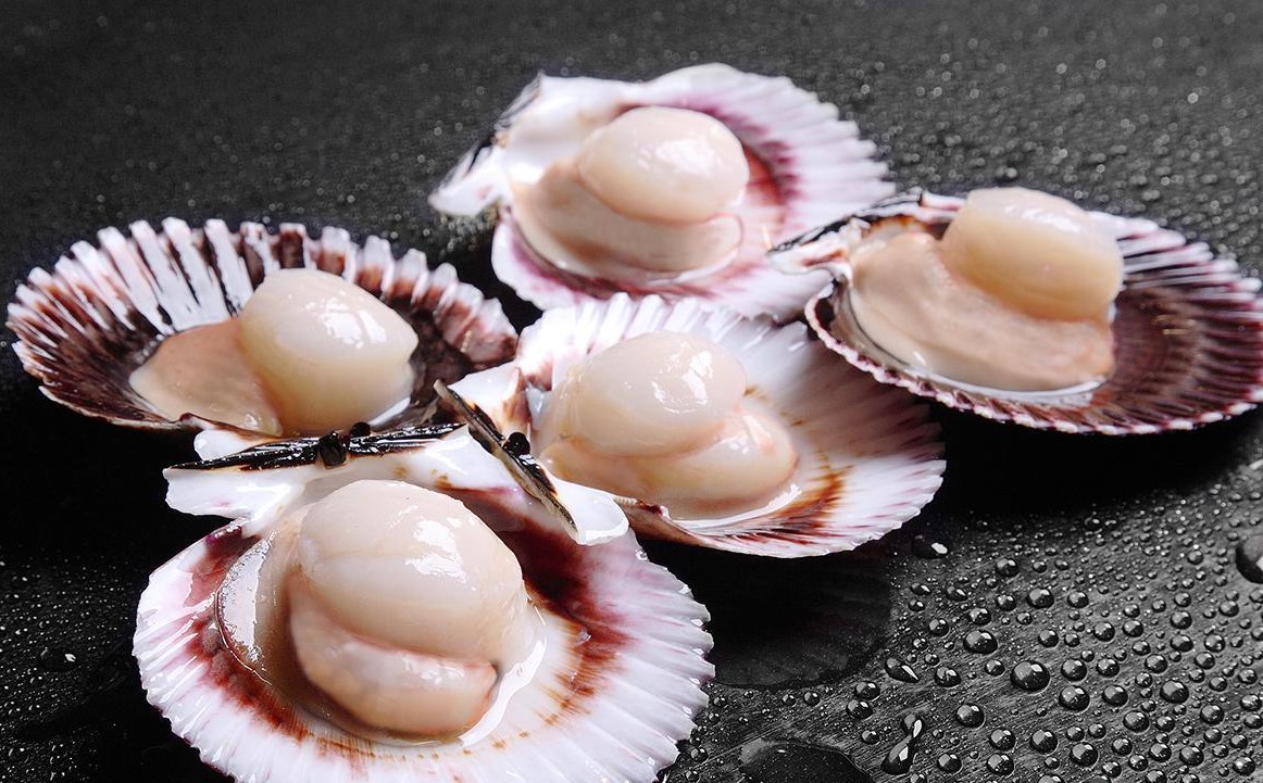FROZEN SCALLOP WITH HALF SHELL