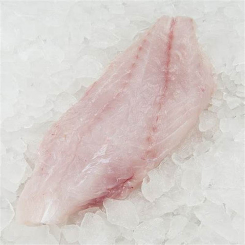 FROZEN GREATER AMBERJACK (BURI) LOIN