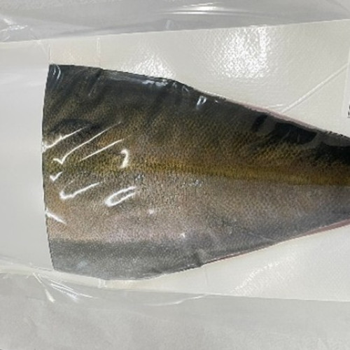 FROZEN YELLOWTAIL FILLETS