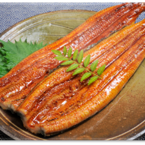 UNAGI KABAYAKI
