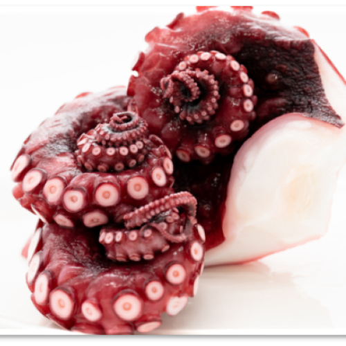 BOILED OCTOPUS