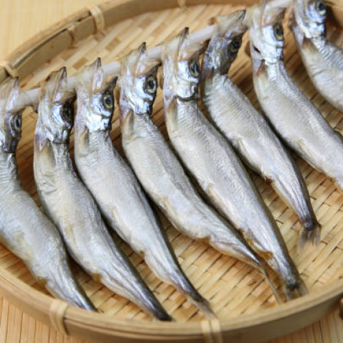 CAPELIN WITH ROE (SHISHAMO)