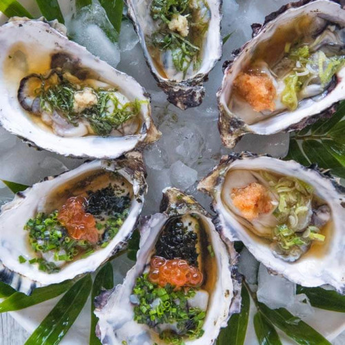 FROZEN OYSTER WITH FULL SHELL
