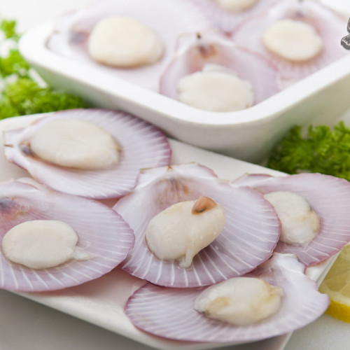 FROZEN SCALLOP WITH HALF SHELL