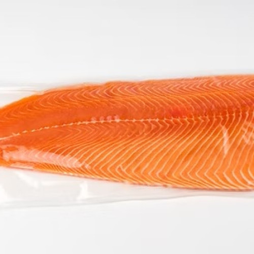 COHO SALMON TRIM B