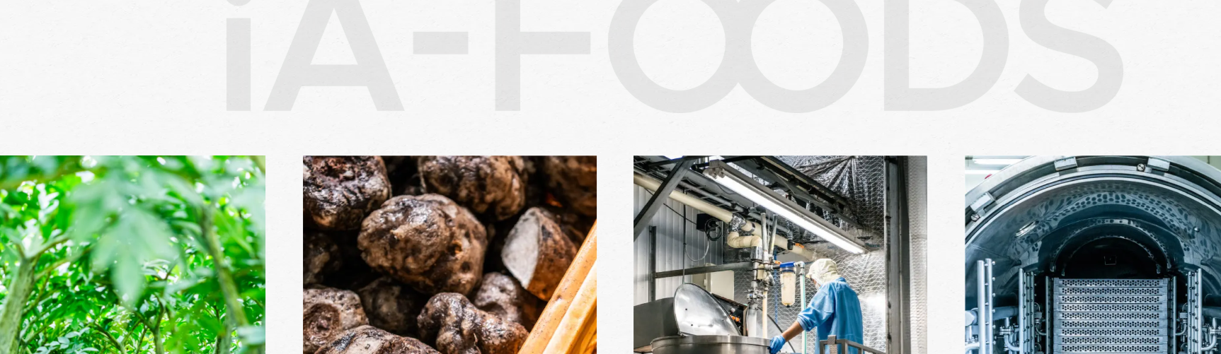 IA FOODS Banner